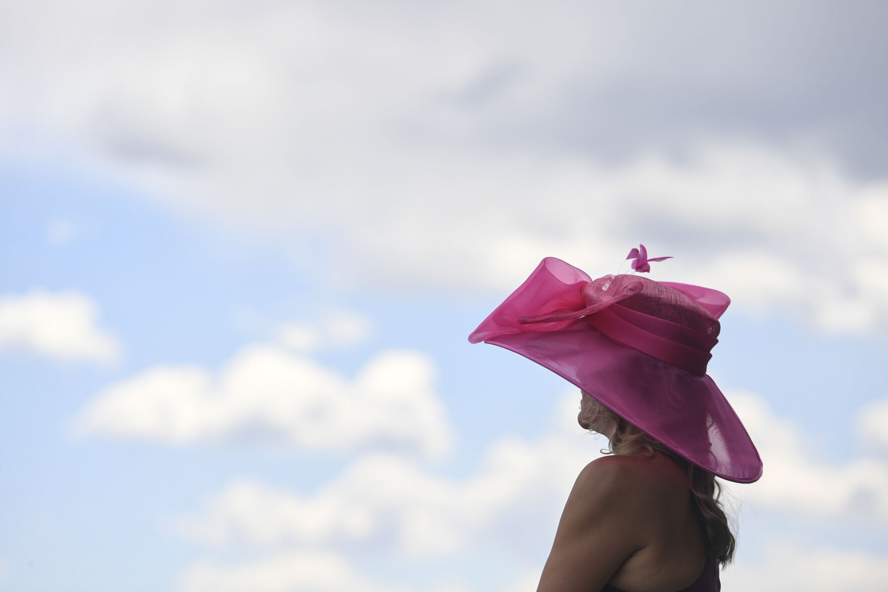Preakness Stakes Horse Race
